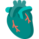 اسکن قلب