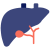 اسکن کبد و طحال