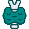 درمان پرکاری تیروئید