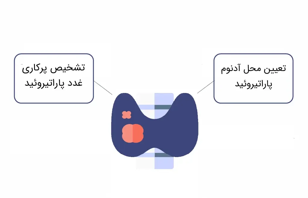 کاربرد پاراتیروئید